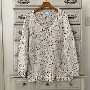 Vici Confetti Sweater